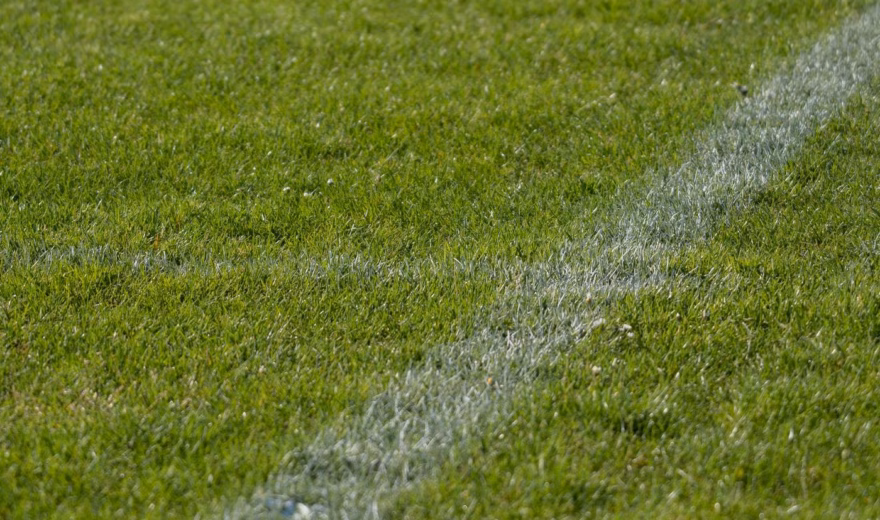 Nahaufnahme einer grünen Rasenfläche mit deutlich sichtbaren weißen Linien, die eine Ecke eines Sportplatzes markieren. Das Bild unterstreicht die präzise Feldmarkierung und die Pflege von Sportanlagen.