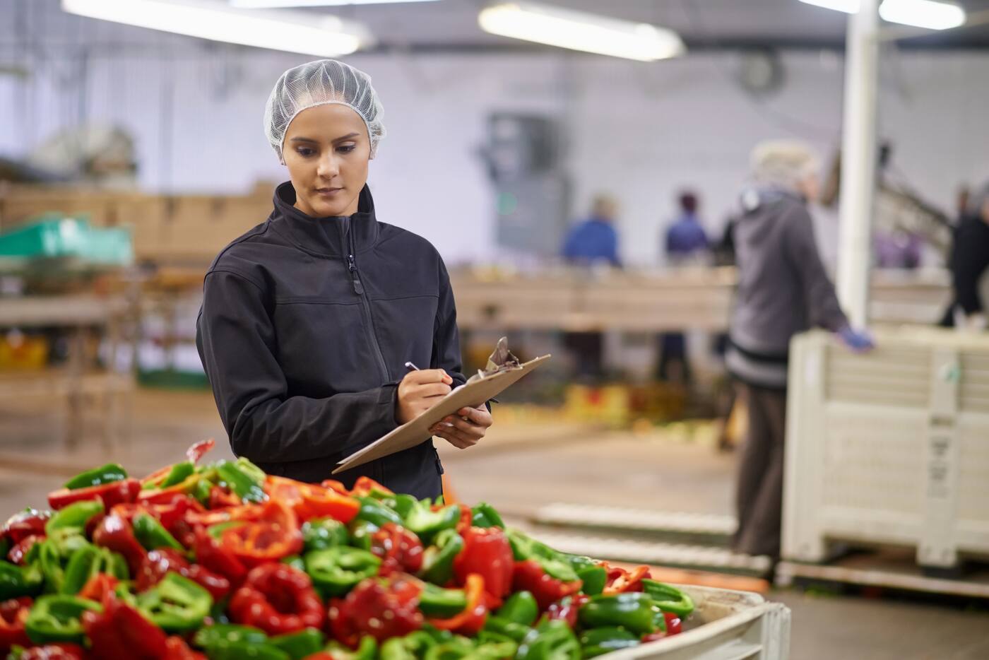 A woman wearing a hairnet is performing quality control on red and green peppers in a large bin at a vegetable processing plant, writing notes on a clipboard.
