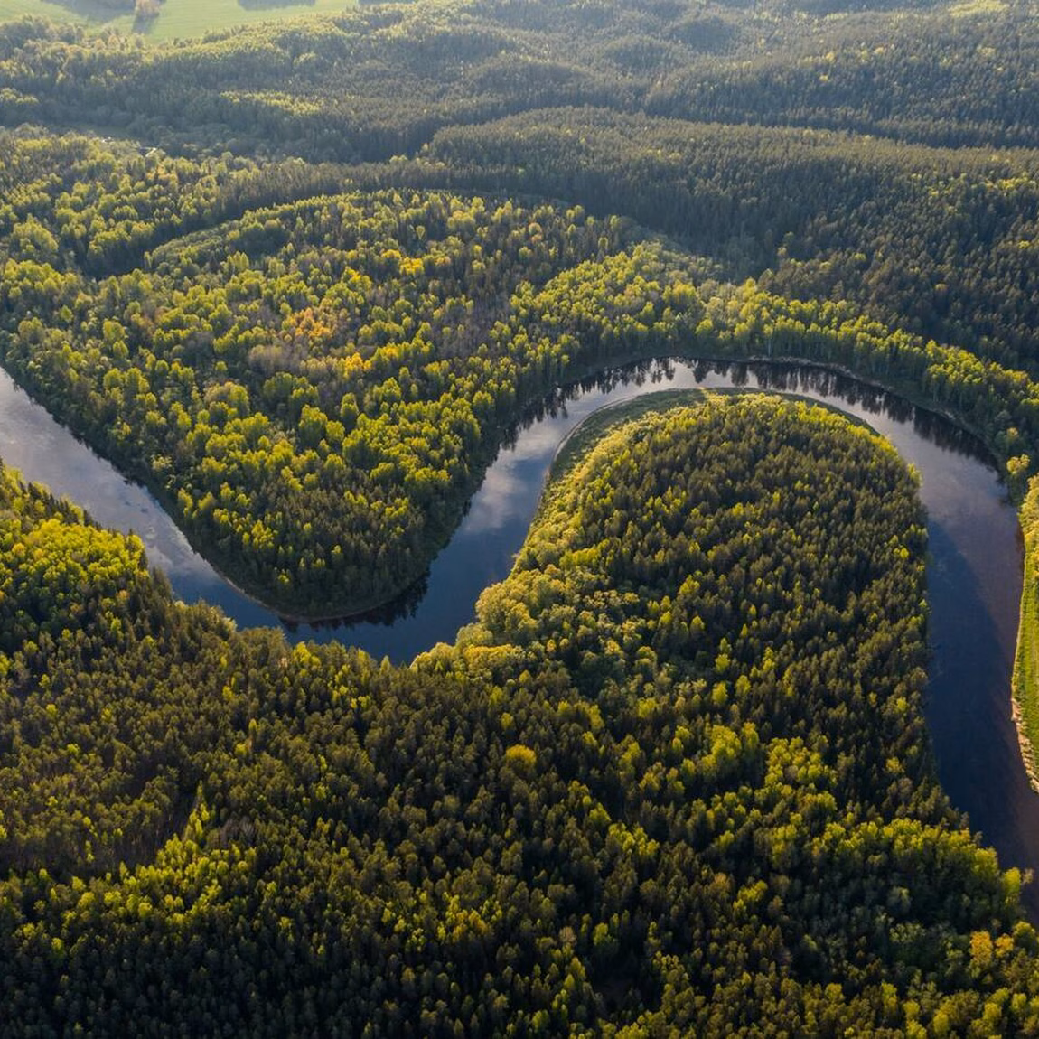 Aerial view of a winding river flowing through a vast forest and nature reserve.