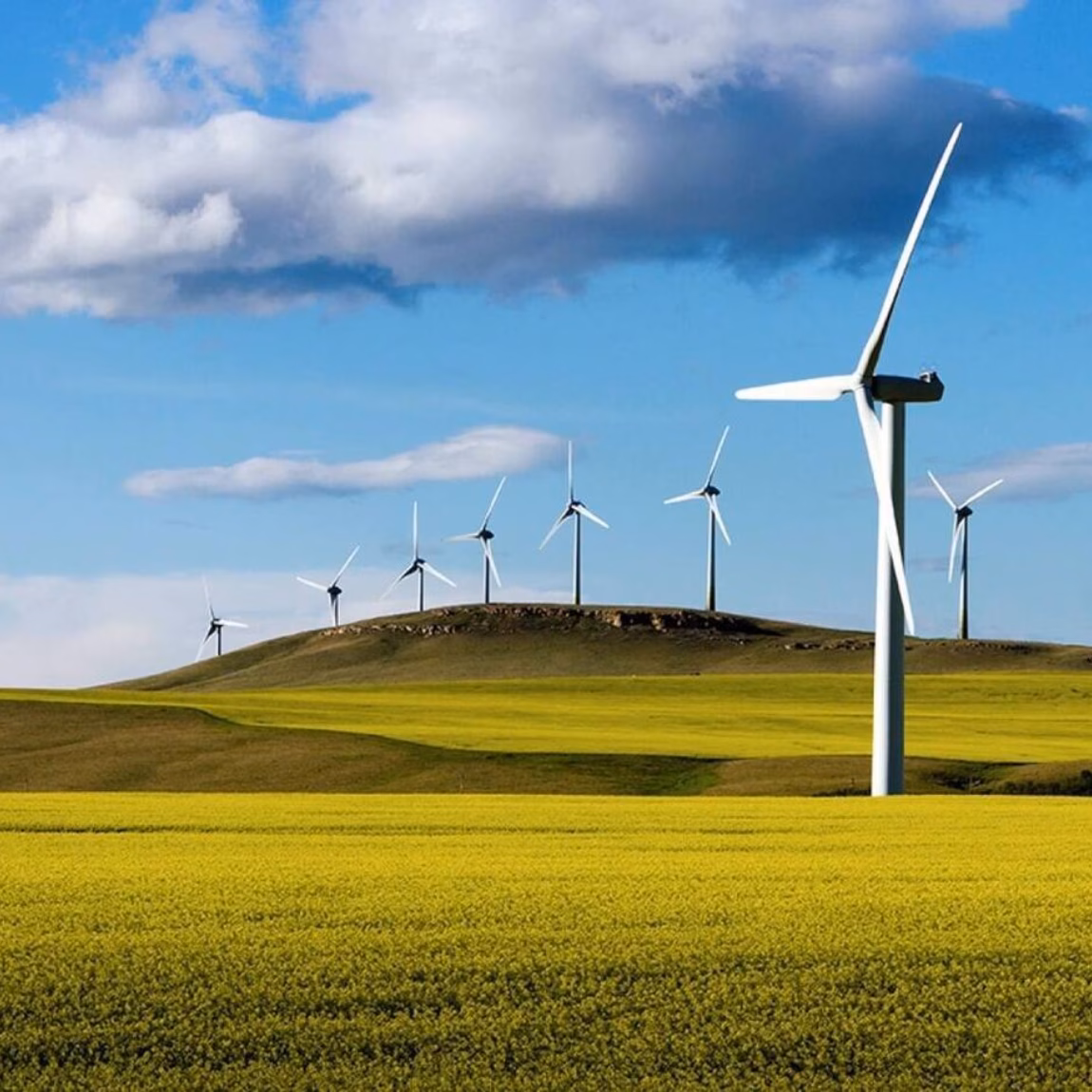 Des éoliennes dans un paysage ouvert, avec des terres agricoles sous un ciel bleu.