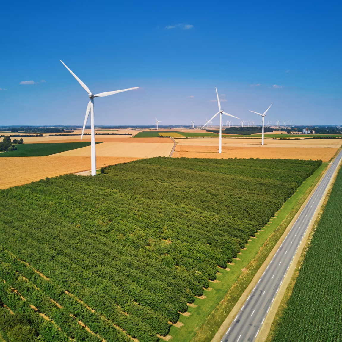 Wind turbines among farm fields in a rural landscape, as seen from the air.
