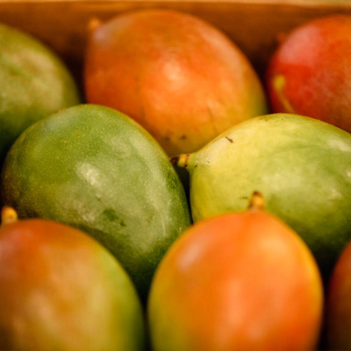 Groene en rood gekleurde mango's dicht bij elkaar in een fruitschaal of display.