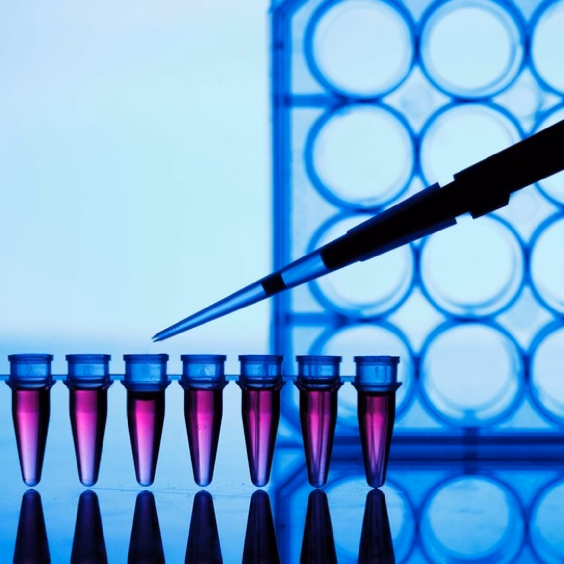 PCR strip test tubes and micropipette in genetics laboratory
