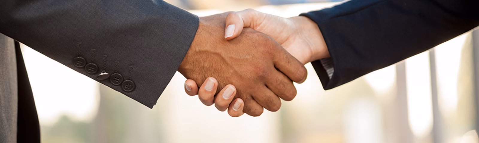 hand business men and women who shaking hands