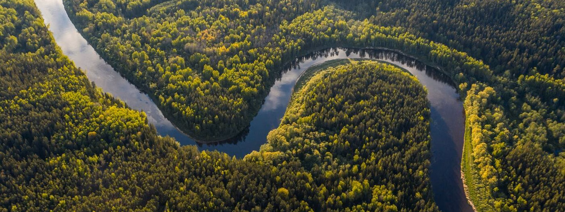 Aerial view of a winding river flowing through a vast forest and nature reserve.