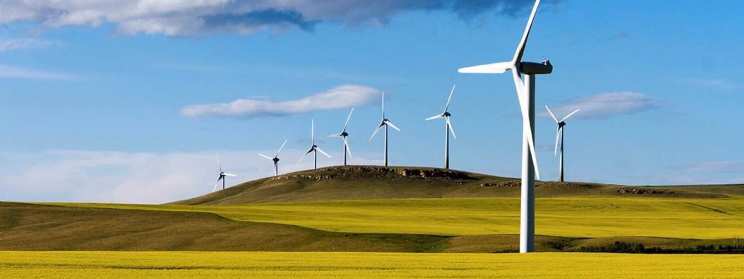 Des éoliennes dans un paysage ouvert, avec des terres agricoles sous un ciel bleu.