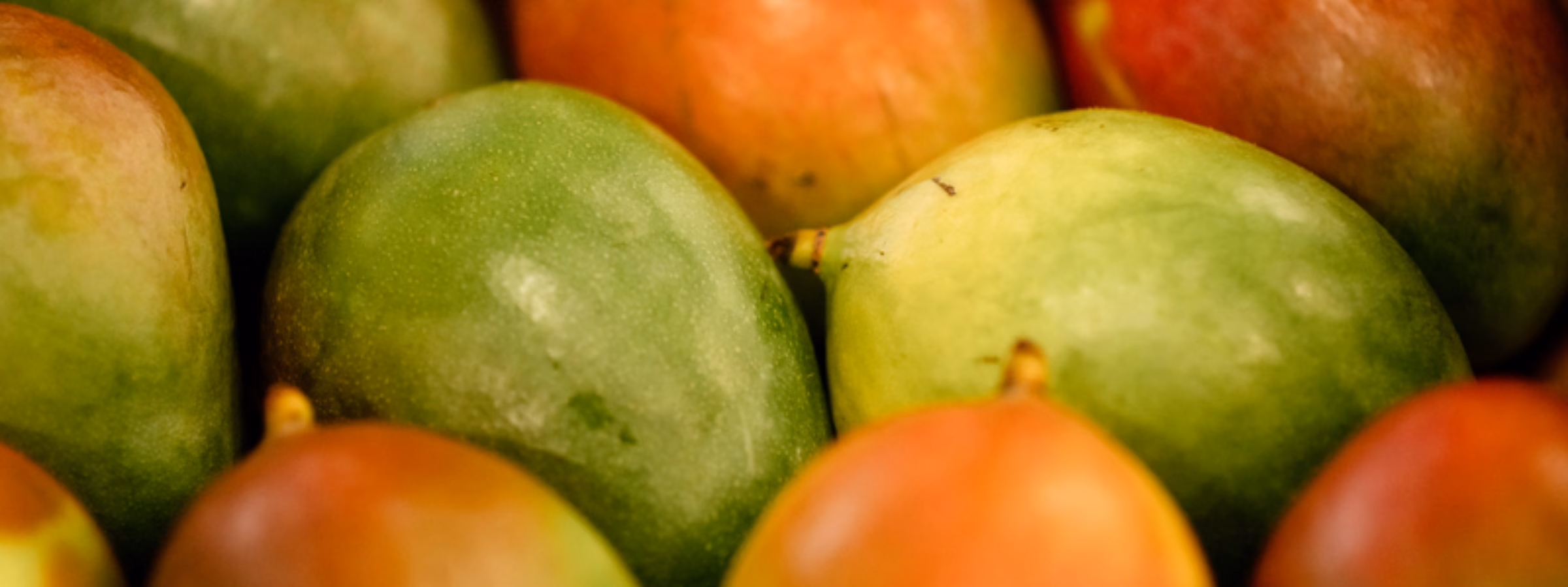 Groene en rood gekleurde mango's dicht bij elkaar in een fruitschaal of display.
