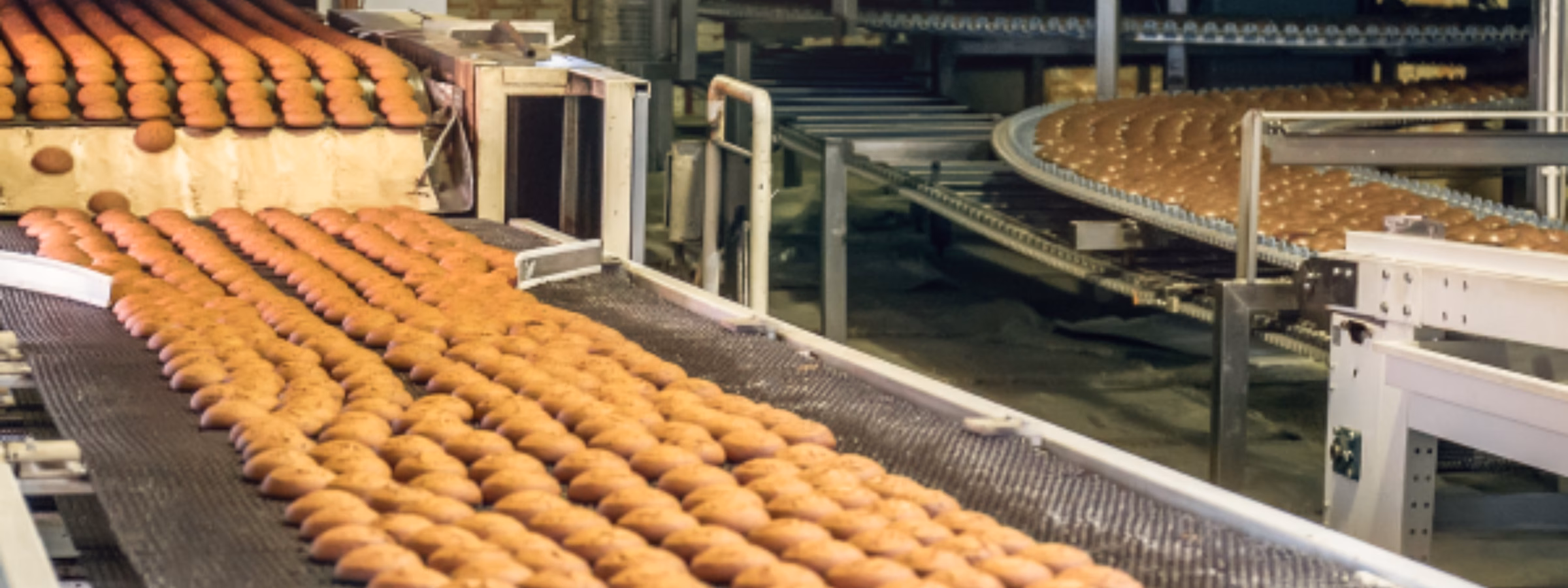 Reihen frisch gebackener Brötchen bewegen sich auf einem automatisierten Fördersystem in einer modernen Bäckereiproduktionsanlage und verdeutlichen dabei die industrielle Lebensmittelverarbeitung, Qualitätskontrolle, Massenproduktion, Lebensmittelsicherheitsstandards und effiziente Abläufe in der Bäckereiproduktion.