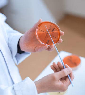 Un technicien de laboratoire tient une boîte de Pétri et un coton-tige lors d'un examen microbiologique.