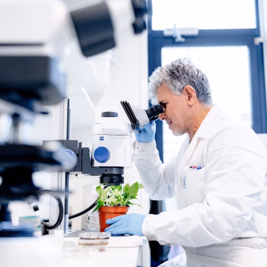 A lab technician examines a sample under a microscope in a modern laboratory.