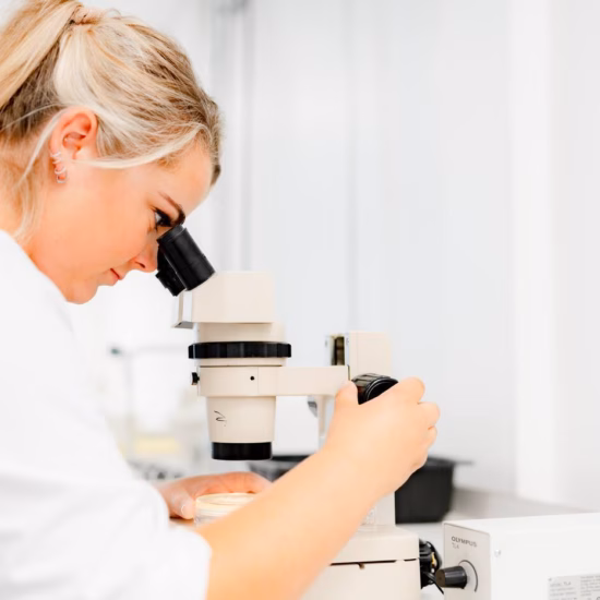 A woman is looking through a microscope at samples in a laboratory.