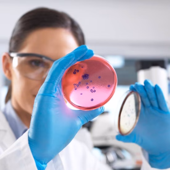 A woman is holding up a petri dish with research samples to the camera, wearing blue sterile laboratory gloves.