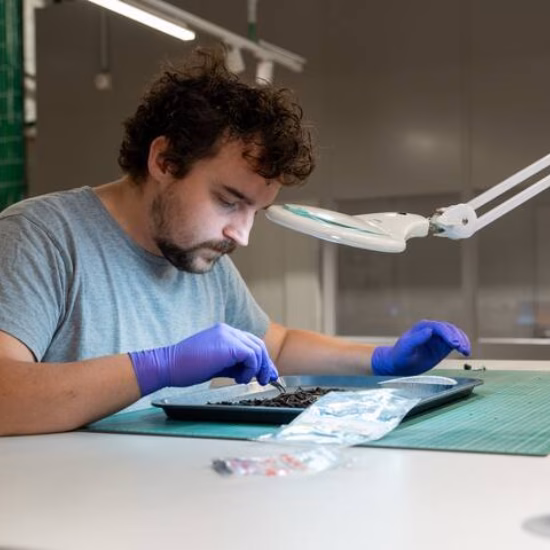 Un homme teste des échantillons de pollution, vêtu de gants de laboratoire stériles bleus, et les examine à l'aide d'une pince à épiler sous une lampe puissante.