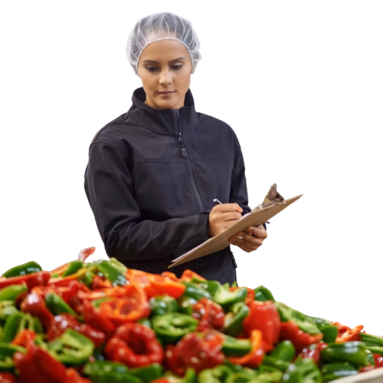 Een vrouw met een haarnetje voert kwaliteitscontroles uit op rode en groene paprika's in een grote bak in een groenteverwerkingsfabriek en maakt aantekeningen op een klembord.