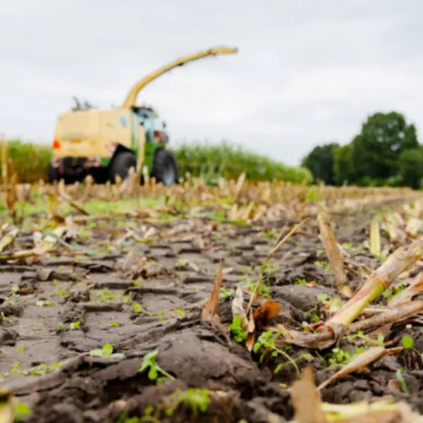 Agriculture, Feed, and Food