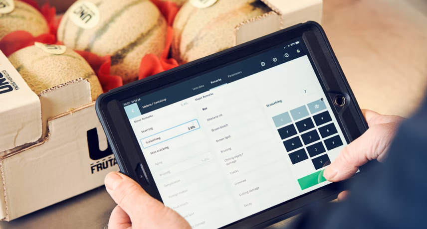 Ein Tablet mit Bestandsverwaltungssoftware wird bei der Kontrolle von Melonen in einer Lagerumgebung eingesetzt.