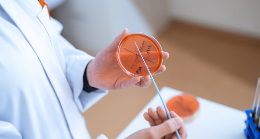 Laboratoriummedewerker houdt een petrischaaltje en een wattenstaaf vast tijdens microbiologisch onderzoek.