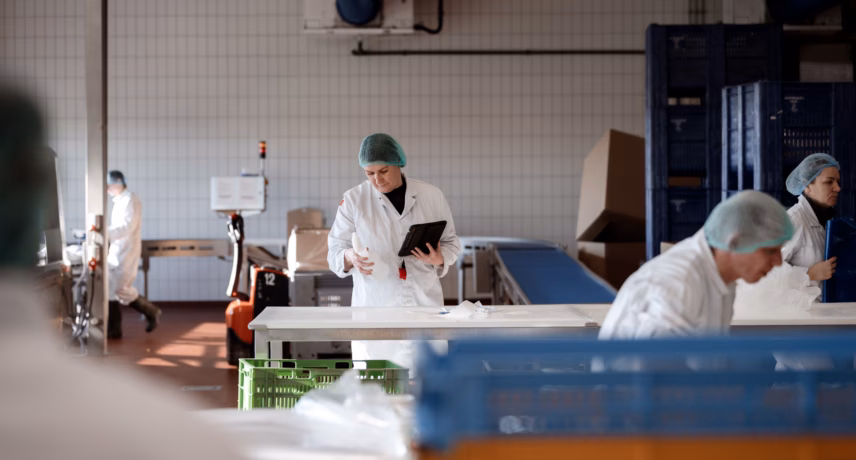 Employees perform quality control and processing in a food production area equipped with work tables and product crates.