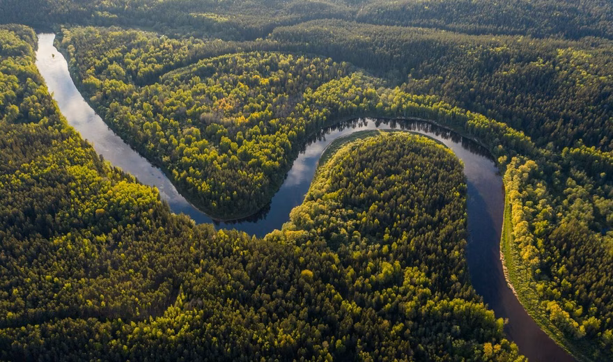 Aerial view of a winding river flowing through a vast forest and nature reserve.