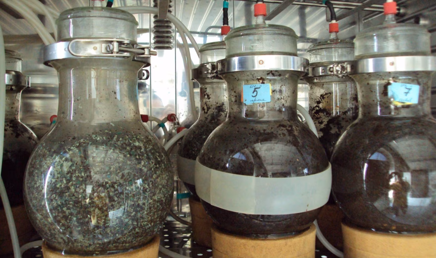 Laboratoriumopstelling met grote glazen reactorvaten gevuld met vloeistof voor microbiologisch of chemisch onderzoek.