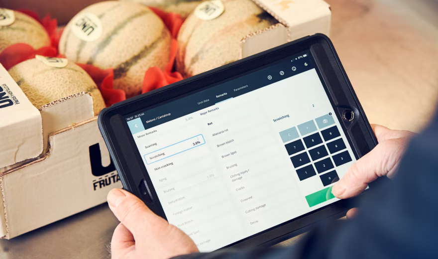 A tablet with inventory management software is used to check melons in a warehouse setting.