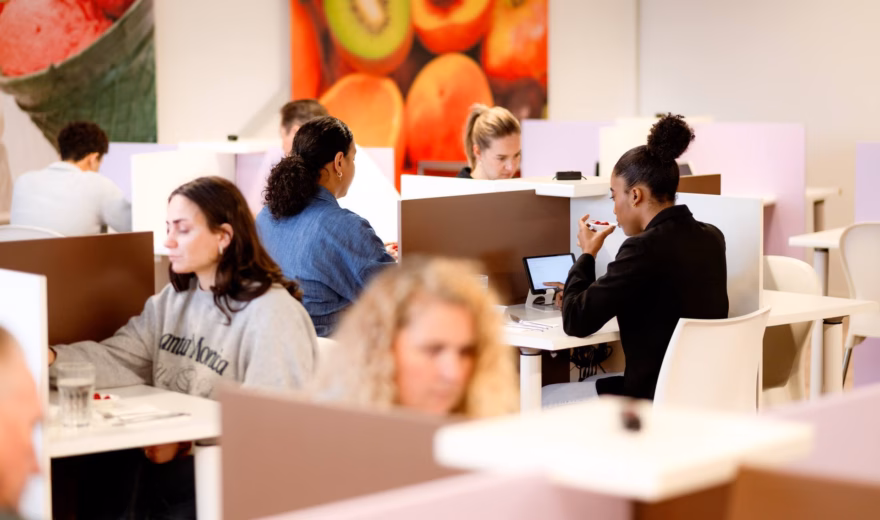 Medewerkers werken aan computers in een moderne kantooromgeving met open werkplekken en concentratieplekken.