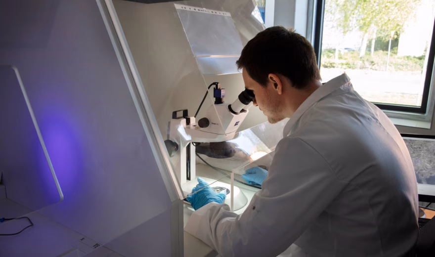 Ein Laborassistent führt in einem Untersuchungslabor eine Analyse mit einem Mikroskop durch.